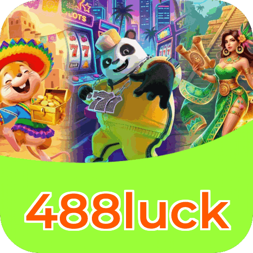 Interface 488luck